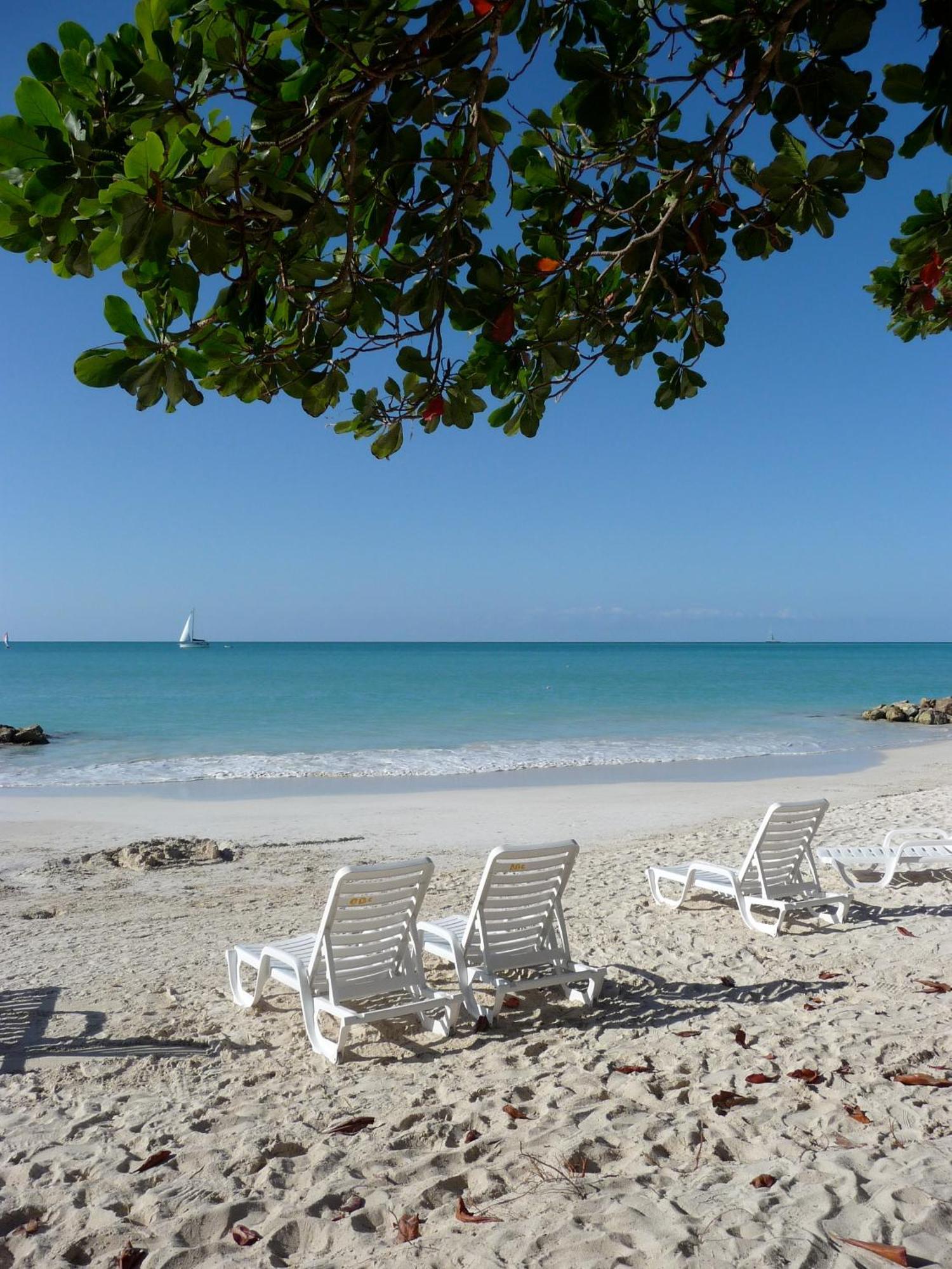 Buccaneer Beach Club Dickenson Bay ภายนอก รูปภาพ