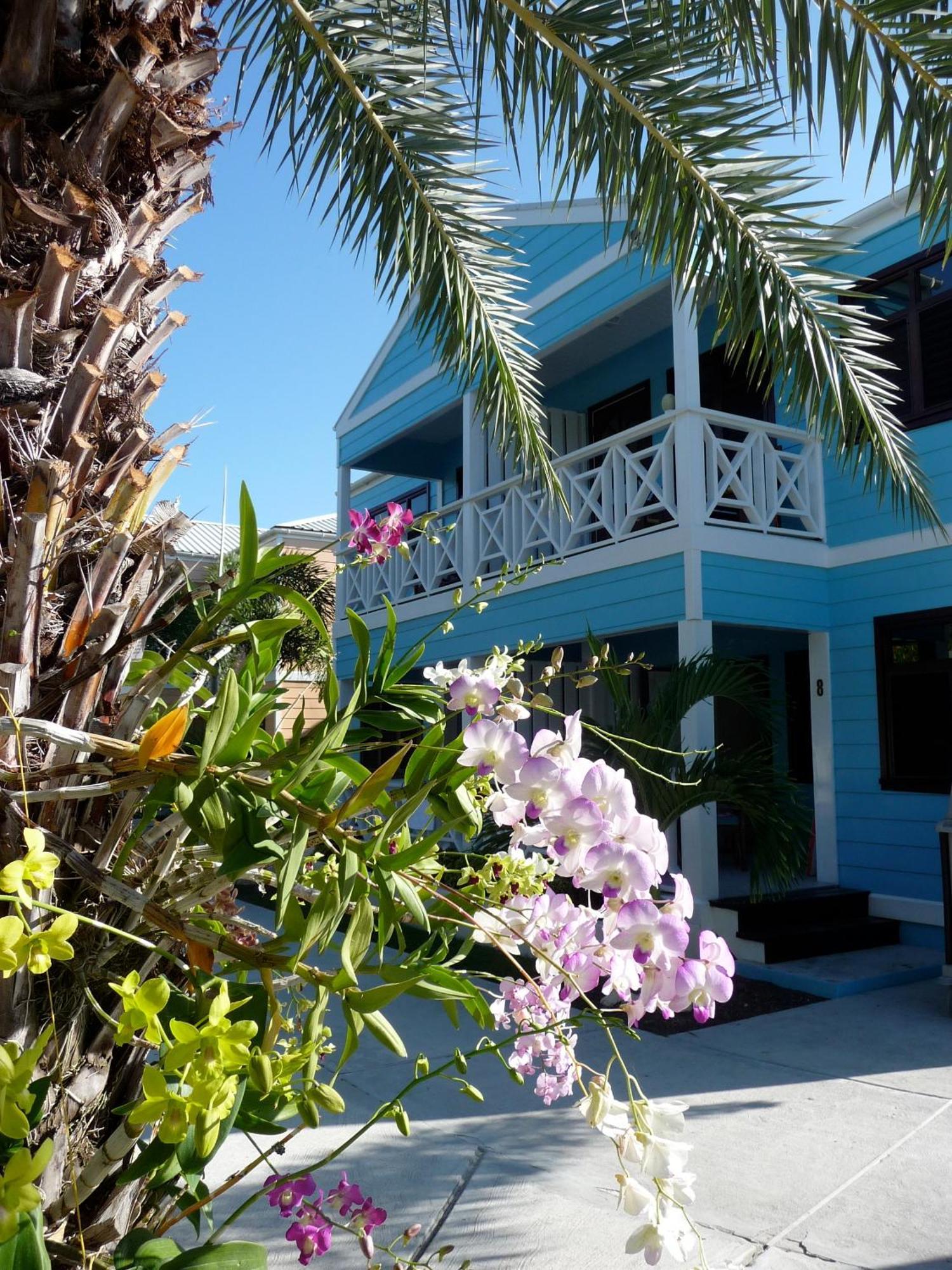 Buccaneer Beach Club Dickenson Bay ภายนอก รูปภาพ