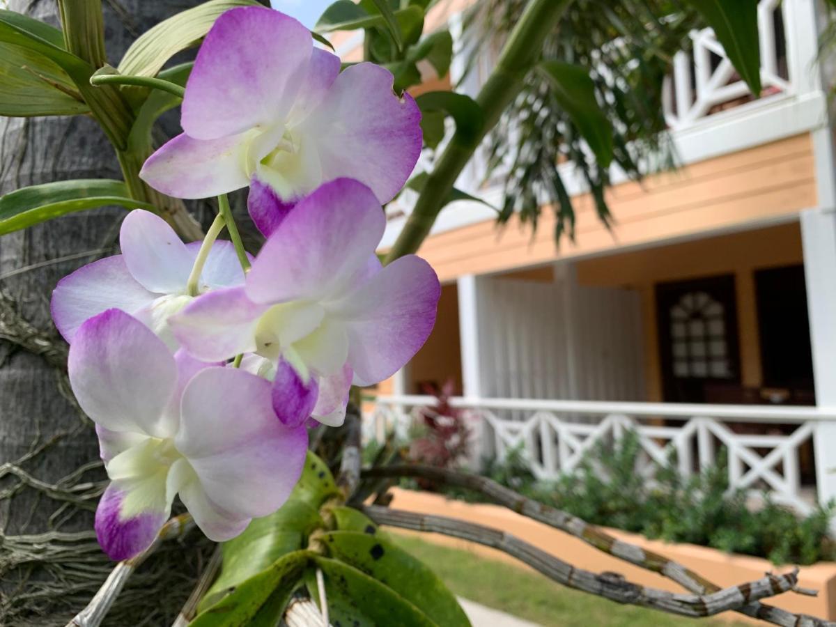 Buccaneer Beach Club Dickenson Bay ภายนอก รูปภาพ